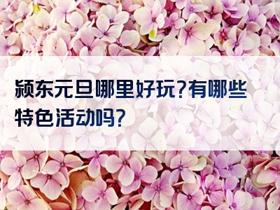 颍东元旦哪里好玩？有哪些特色活动吗？