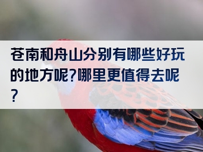 苍南和舟山分别有哪些好玩的地方呢？哪里更值得去呢？