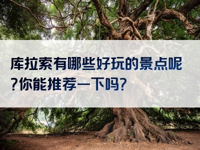 库拉索有哪些好玩的景点呢？你能推荐一下吗？