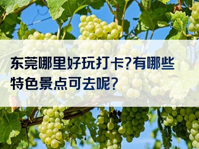 东莞哪里好玩打卡？有哪些特色景点可去呢？