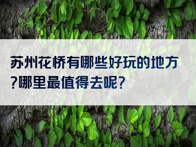 苏州花桥有哪些好玩的地方？哪里最值得去呢？