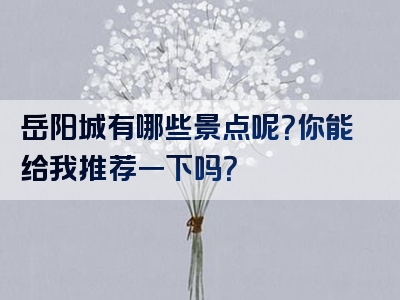 岳阳城有哪些景点呢？你能给我推荐一下吗？