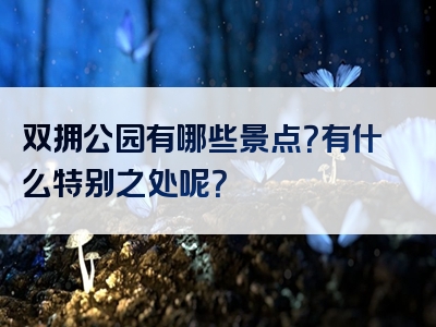 双拥公园有哪些景点？有什么特别之处呢？