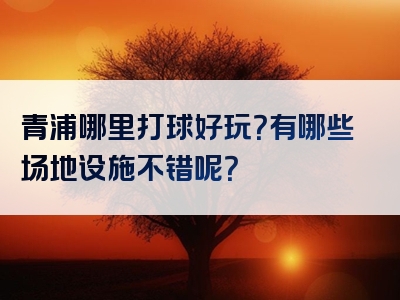 青浦哪里打球好玩？有哪些场地设施不错呢？