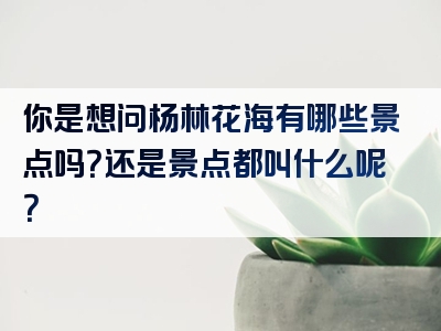 你是想问杨林花海有哪些景点吗？还是景点都叫什么呢？