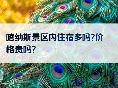 喀纳斯景区内住宿多吗？价格贵吗？
