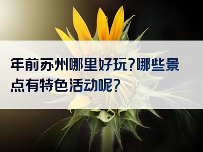 年前苏州哪里好玩？哪些景点有特色活动呢？
