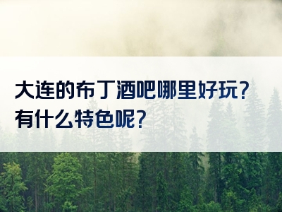 大连的布丁酒吧哪里好玩？有什么特色呢？