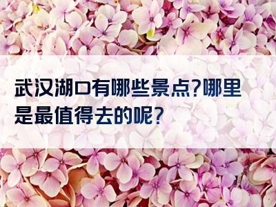 武汉湖口有哪些景点？哪里是最值得去的呢？