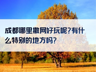 成都哪里撒网好玩呢？有什么特别的地方吗？