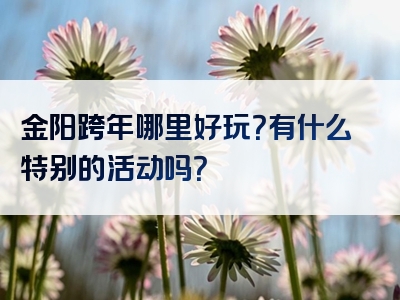 金阳跨年哪里好玩？有什么特别的活动吗？