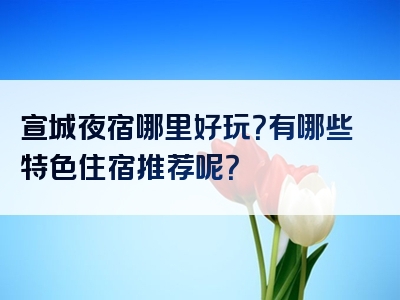 宣城夜宿哪里好玩？有哪些特色住宿推荐呢？