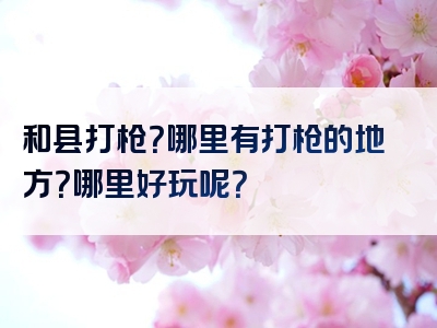 和县打枪？哪里有打枪的地方？哪里好玩呢？