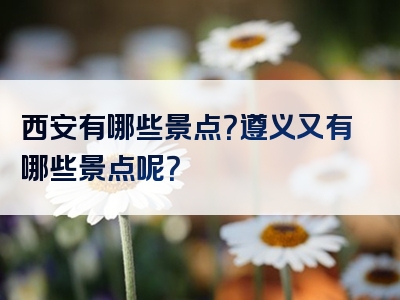 西安有哪些景点？遵义又有哪些景点呢？