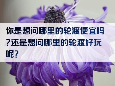 你是想问哪里的轮渡便宜吗？还是想问哪里的轮渡好玩呢？
