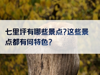 七里坪有哪些景点？这些景点都有何特色？