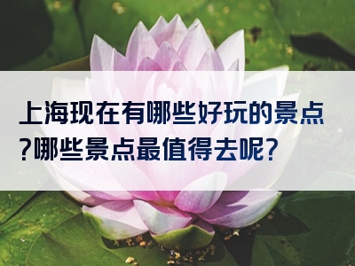 上海现在有哪些好玩的景点？哪些景点最值得去呢？