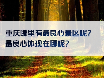 重庆哪里有最良心景区呢？最良心体现在哪呢？