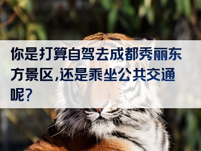 你是打算自驾去成都秀丽东方景区，还是乘坐公共交通呢？