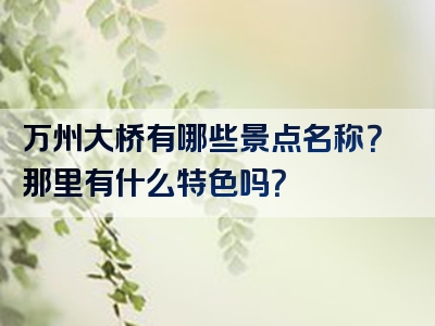 万州大桥有哪些景点名称？那里有什么特色吗？