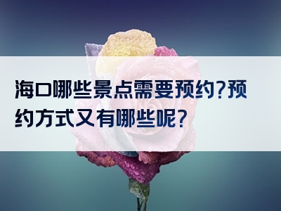 海口哪些景点需要预约？预约方式又有哪些呢？