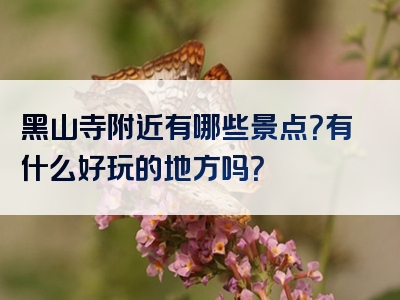 黑山寺附近有哪些景点？有什么好玩的地方吗？