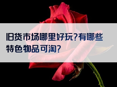 旧货市场哪里好玩？有哪些特色物品可淘？