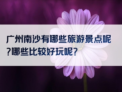 广州南沙有哪些旅游景点呢？哪些比较好玩呢？