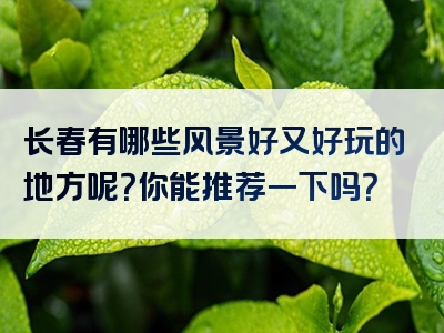 长春有哪些风景好又好玩的地方呢？你能推荐一下吗？