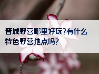 晋城野营哪里好玩？有什么特色野营地点吗？