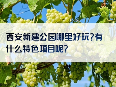西安新建公园哪里好玩？有什么特色项目呢？
