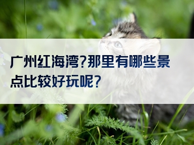 广州红海湾？那里有哪些景点比较好玩呢？