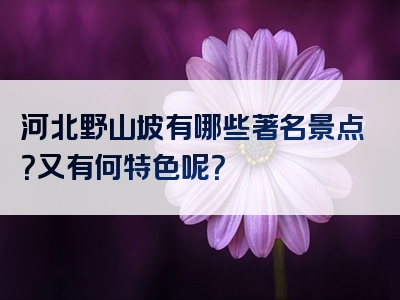 河北野山坡有哪些著名景点？又有何特色呢？