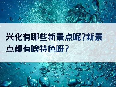 兴化有哪些新景点呢？新景点都有啥特色呀？