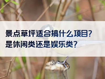 景点草坪适合搞什么项目？是休闲类还是娱乐类？
