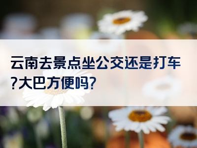 云南去景点坐公交还是打车？大巴方便吗？