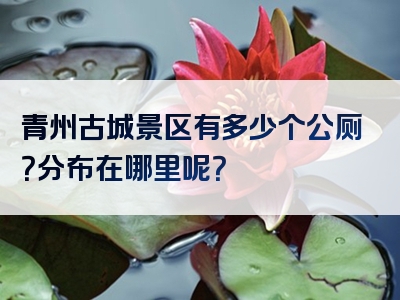 青州古城景区有多少个公厕？分布在哪里呢？