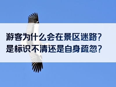 游客为什么会在景区迷路？是标识不清还是自身疏忽？