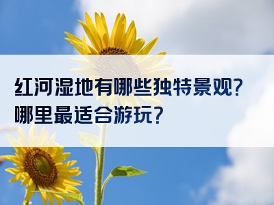 红河湿地有哪些独特景观？哪里最适合游玩？