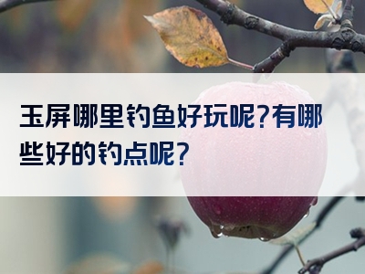 玉屏哪里钓鱼好玩呢？有哪些好的钓点呢？