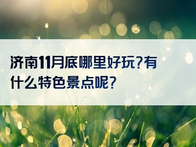 济南11月底哪里好玩？有什么特色景点呢？