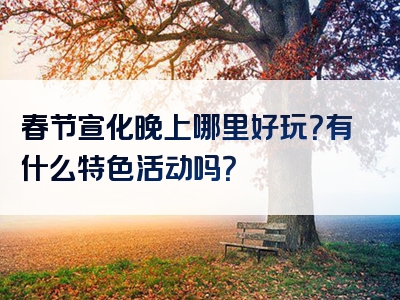 春节宣化晚上哪里好玩？有什么特色活动吗？