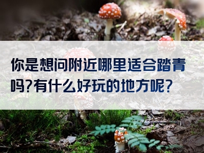 你是想问附近哪里适合踏青吗？有什么好玩的地方呢？