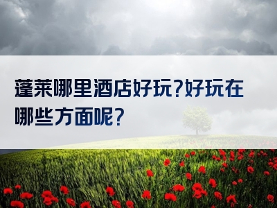 蓬莱哪里酒店好玩？好玩在哪些方面呢？