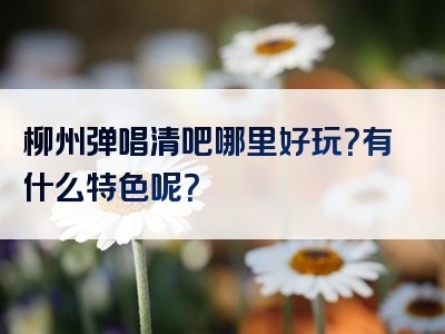柳州弹唱清吧哪里好玩？有什么特色呢？