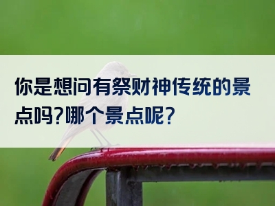 你是想问有祭财神传统的景点吗？哪个景点呢？