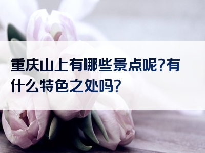 重庆山上有哪些景点呢？有什么特色之处吗？