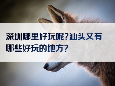 深圳哪里好玩呢？汕头又有哪些好玩的地方？