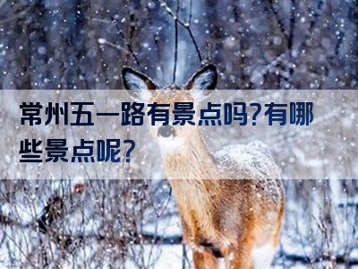 常州五一路有景点吗？有哪些景点呢？