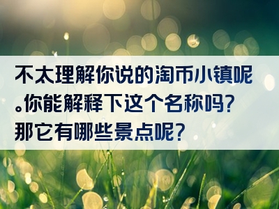 不太理解你说的淘币小镇呢。你能解释下这个名称吗？那它有哪些景点呢？